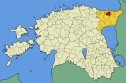 Eesti johvi vald